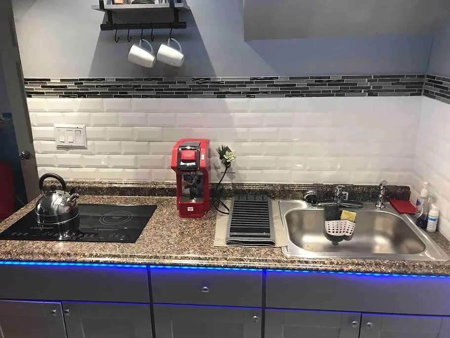 Appartement Brooklyn Luxury Spring Retreat With Private Outdoor Space New York