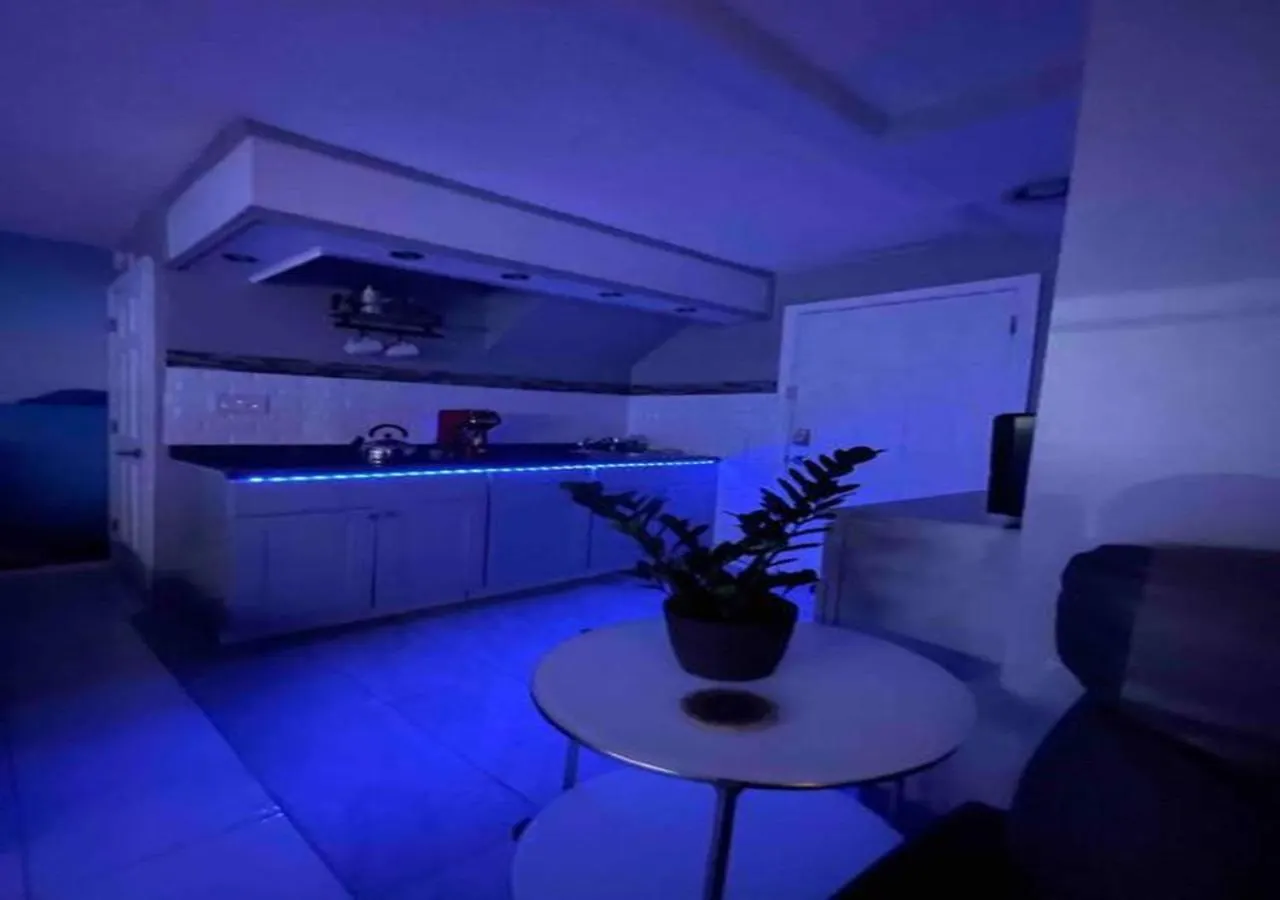 Apartment Brooklyn Luxury Spring Retreat With Private Outdoor Space New York United States